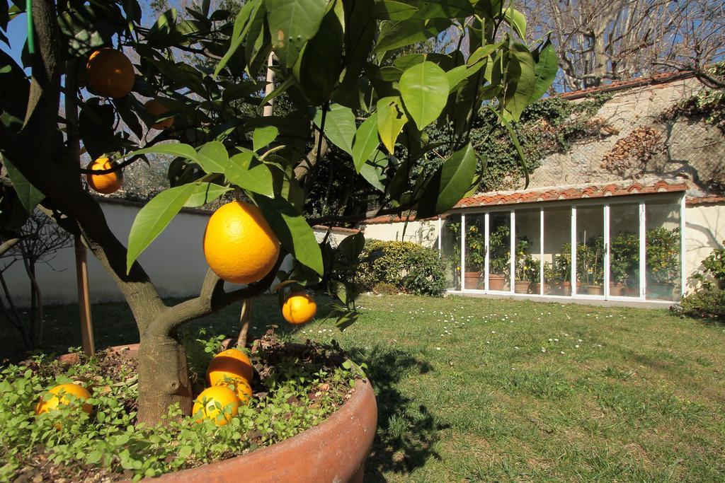 Il Diospero B&B Florencja Zewnętrze zdjęcie